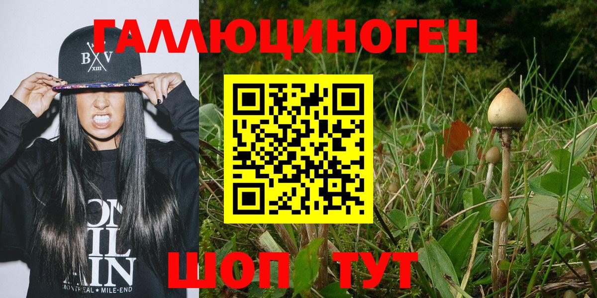 Псилоцибиновые грибы Cubensis Бийск