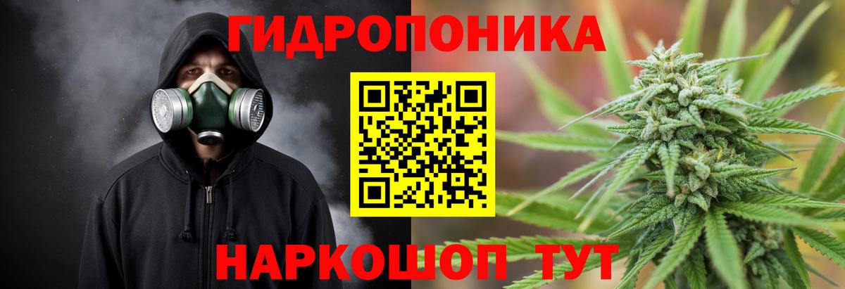 Конопля гибрид Бийск